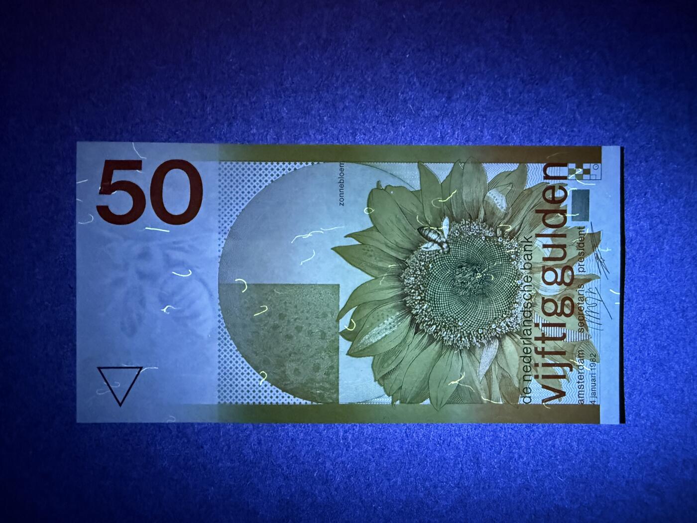 《艾美收藏》第236期-3.15周日外币畅拍 荷兰50盾 UNC 1982年 经典向日葵