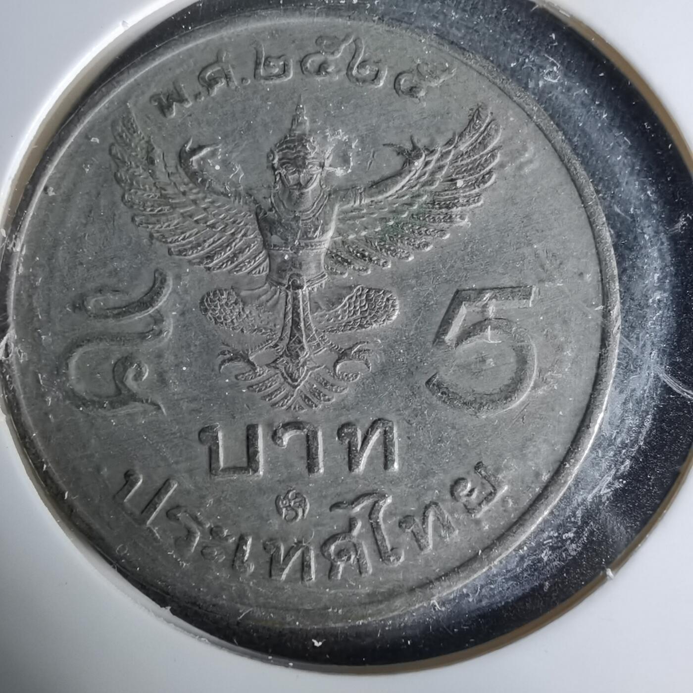 沼泽如烟--第1019场 泰国