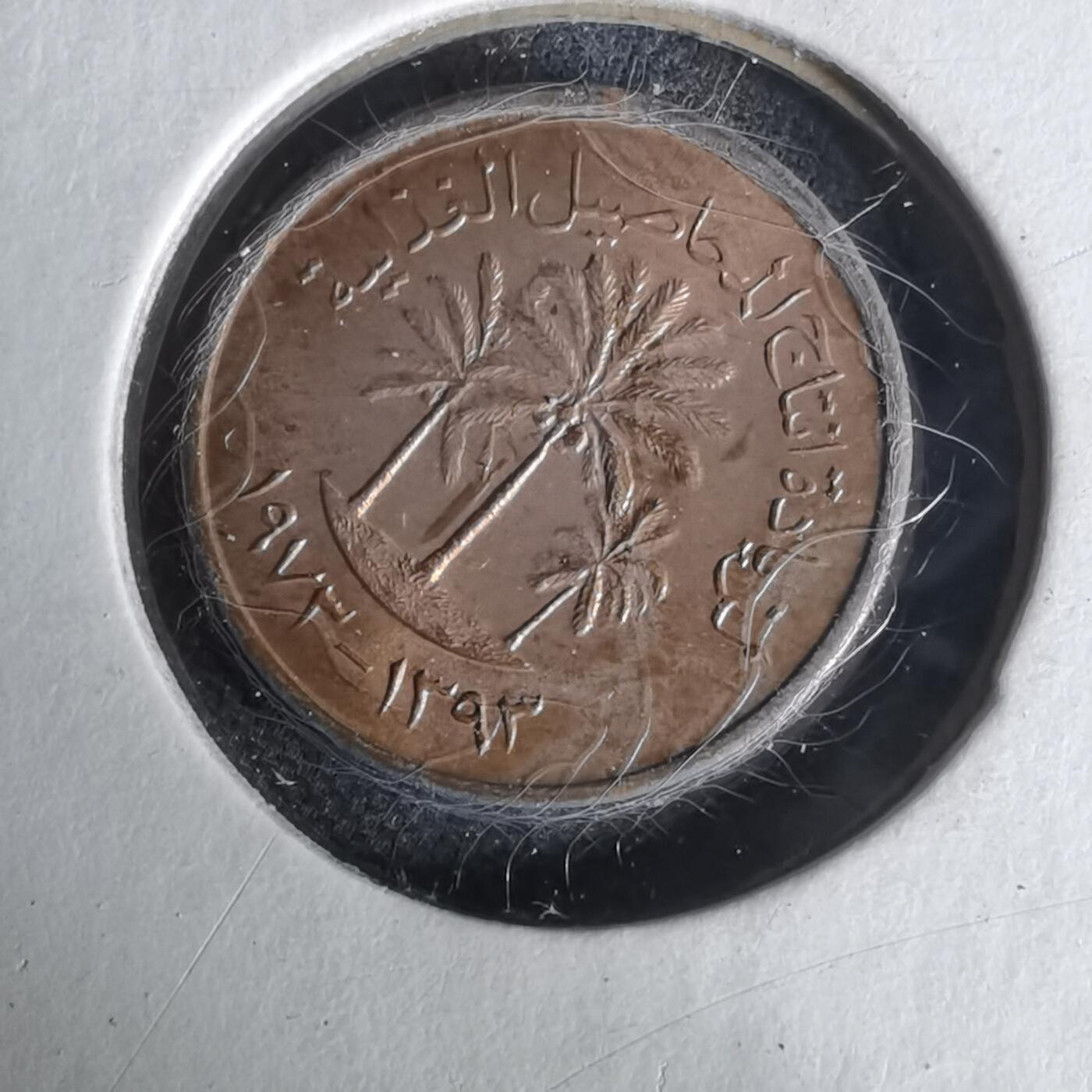 沼泽如烟--第1019场