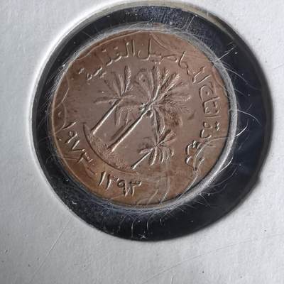 沼泽如烟--第1019场 - 阿联酋