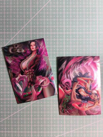 C先生卡牌 第24期  零抽层收拍品，送拍加微私聊 - 【粗闪】动漫《海贼王》女帝&罗宾