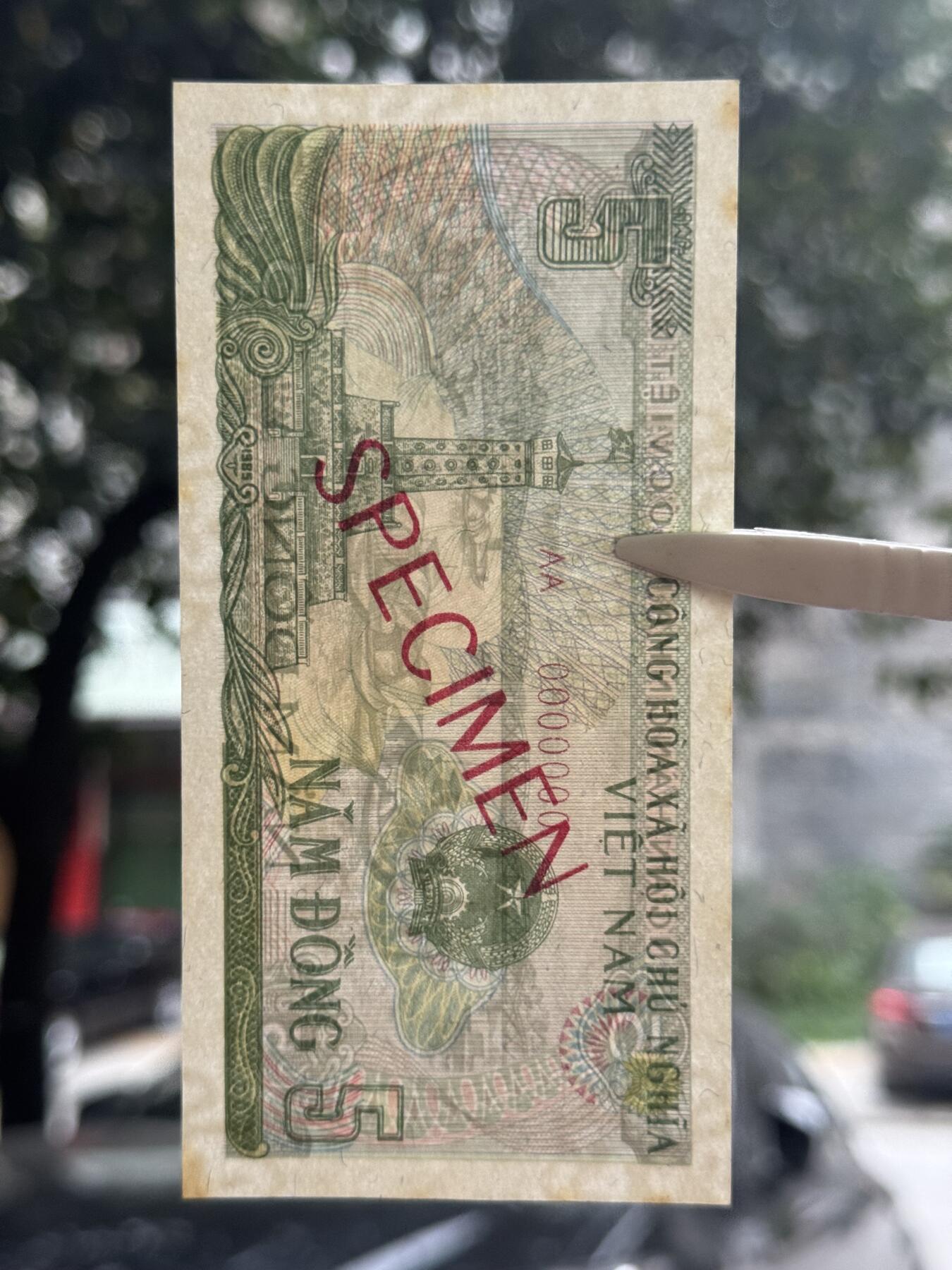 桂P钱币文化工作室拍卖第四十八期