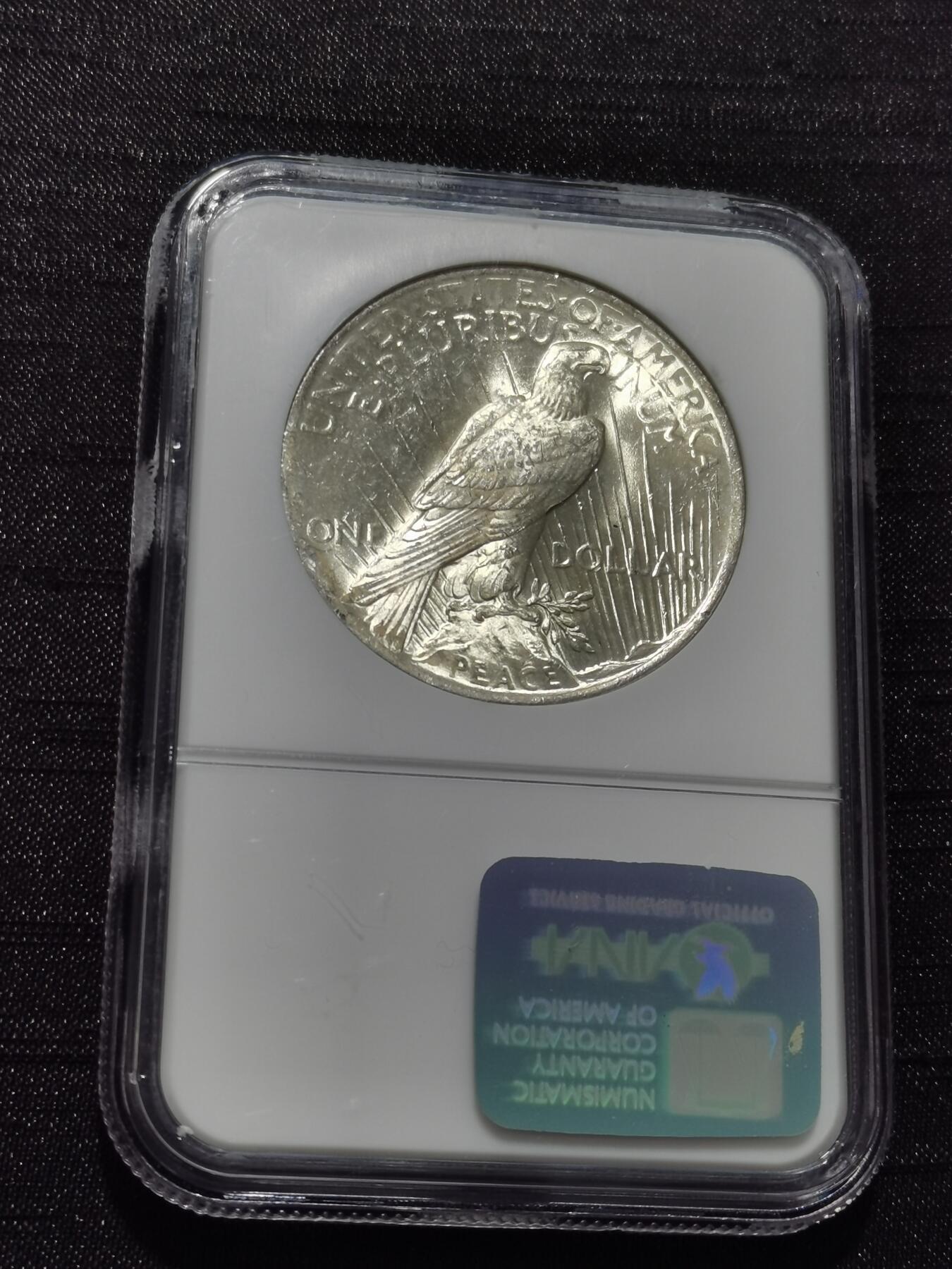 天下钱庄专场欢迎参拍 NGC MS62美国和平鸽一美元银币