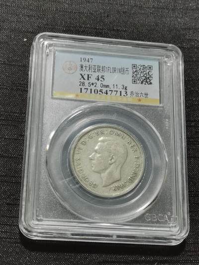 天下钱庄专场欢迎参拍 - 澳大利亚1弗罗林银币