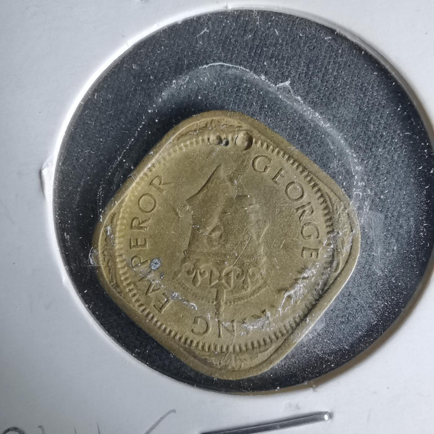 沼泽如烟--第1019场