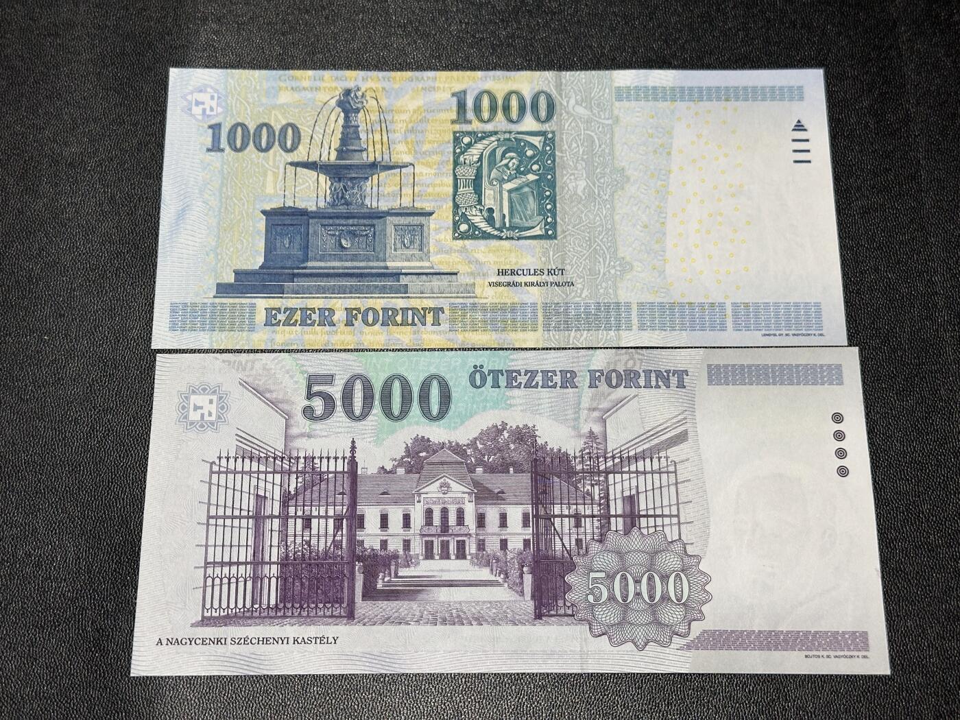 《外钞收藏家》第六百一十七期（精选场）（长期征集拍品、欢迎藏友们联系合作） 匈牙利1000和5000福林 2张一起 非全新 品相如图