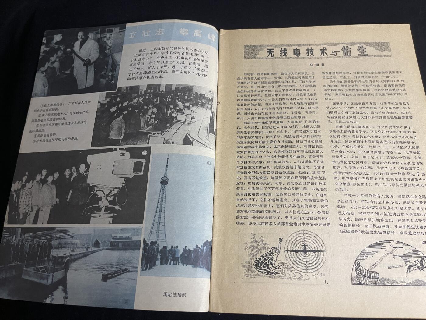 红藏专场 老无线电杂志