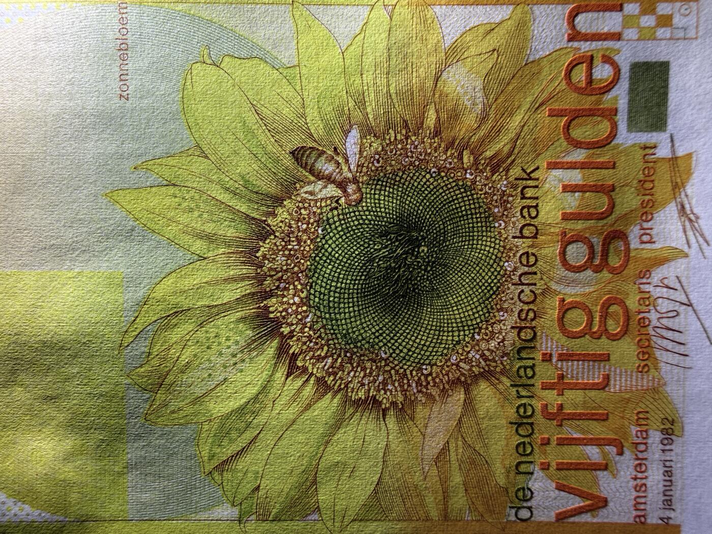 《艾美收藏》第236期-3.15周日外币畅拍 荷兰50盾 UNC 1982年 经典向日葵
