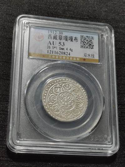 天下钱庄专场欢迎参拍 - 西藏章噶银币