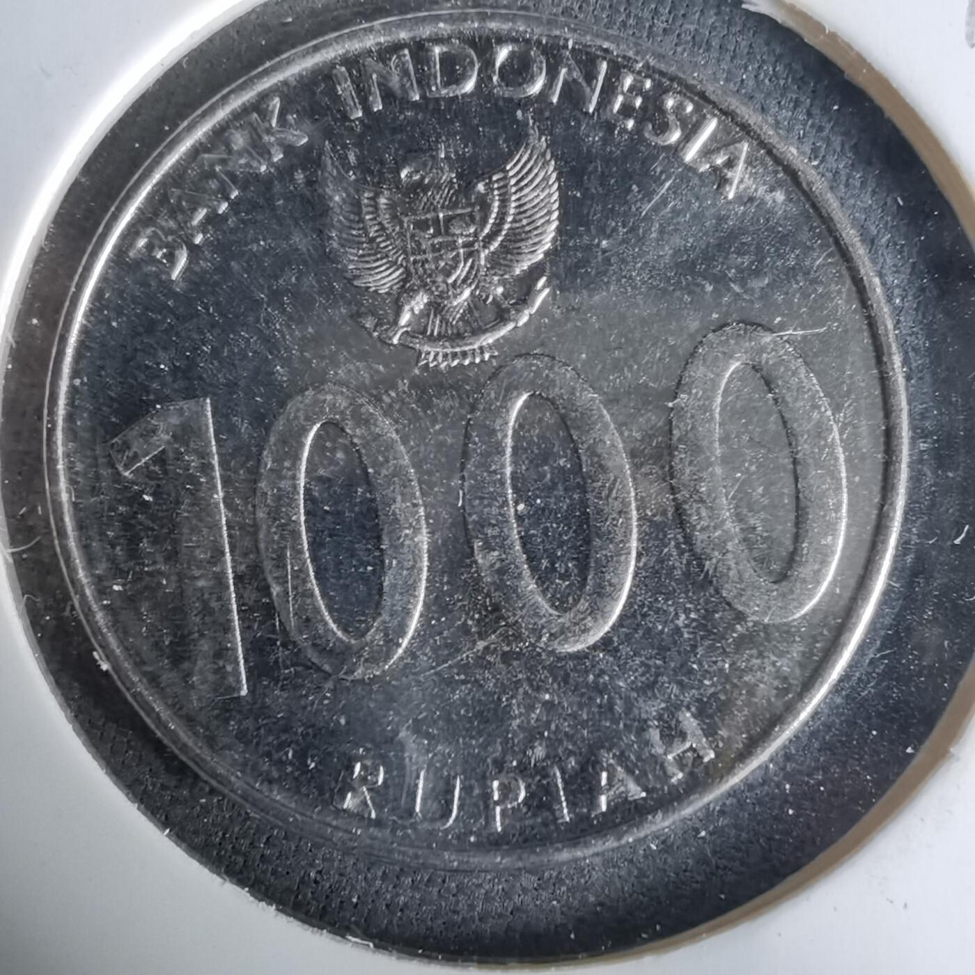 沼泽如烟--第1019场