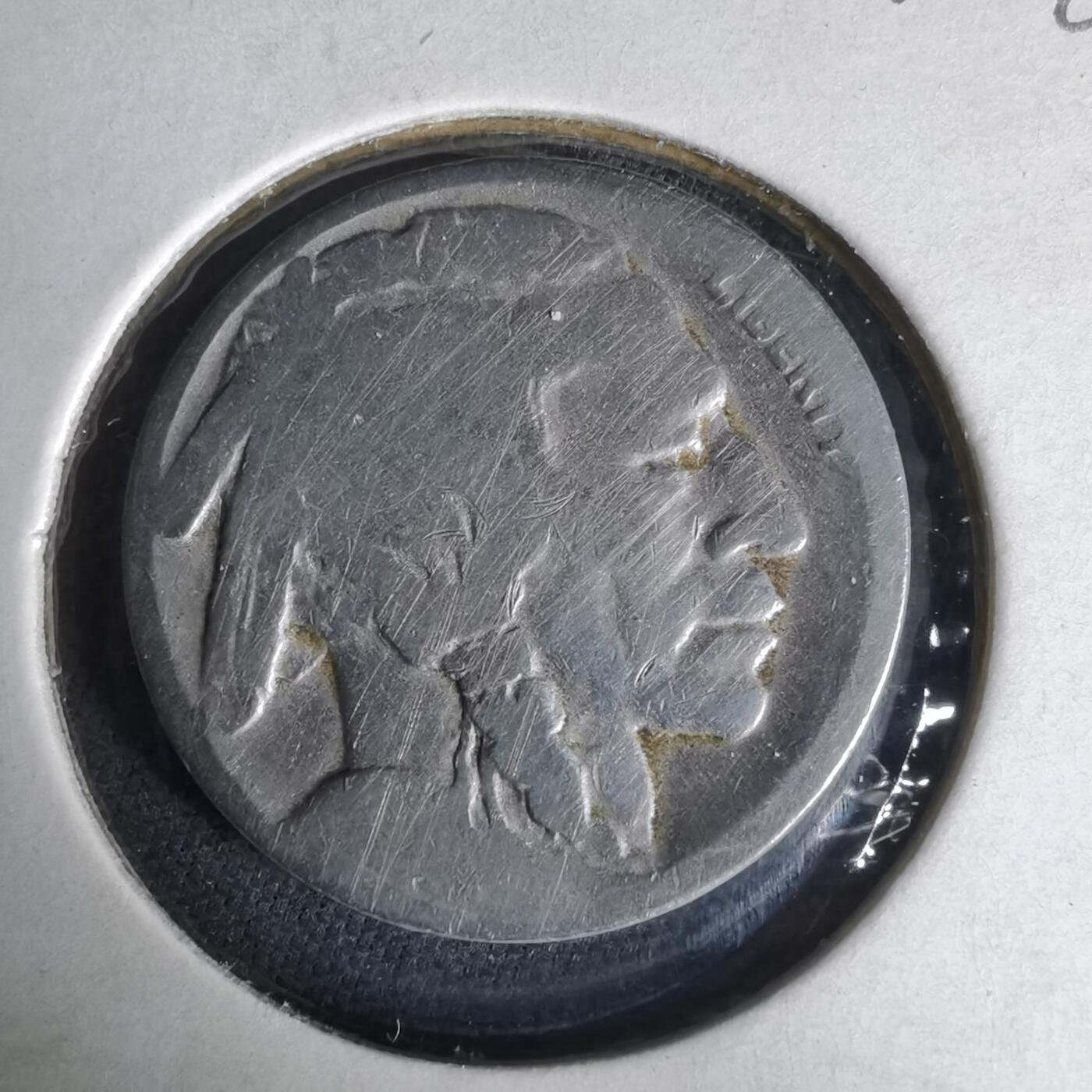 沼泽如烟--第1019场 美国野牛五分