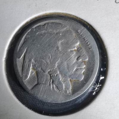 沼泽如烟--第1019场 - 美国野牛五分