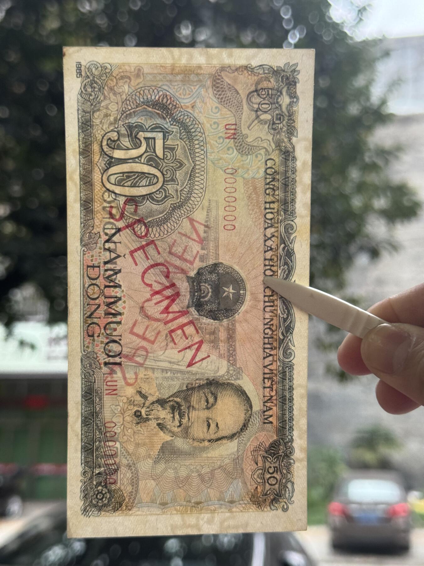 桂P钱币文化工作室拍卖第四十八期 越南1985年50盾票样，少见品种