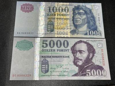 《外钞收藏家》第六百一十七期（精选场）（长期征集拍品、欢迎藏友们联系合作） - 匈牙利1000和5000福林 2张一起 非全新 品相如图