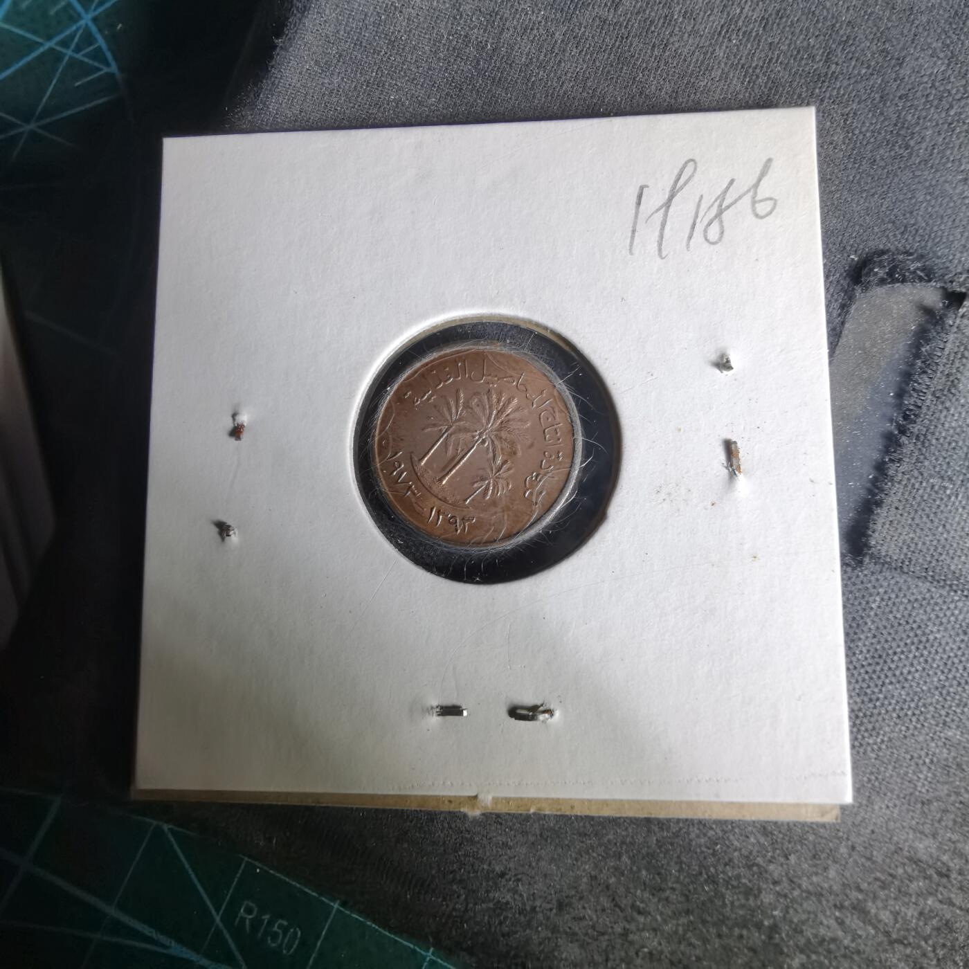 沼泽如烟--第1019场