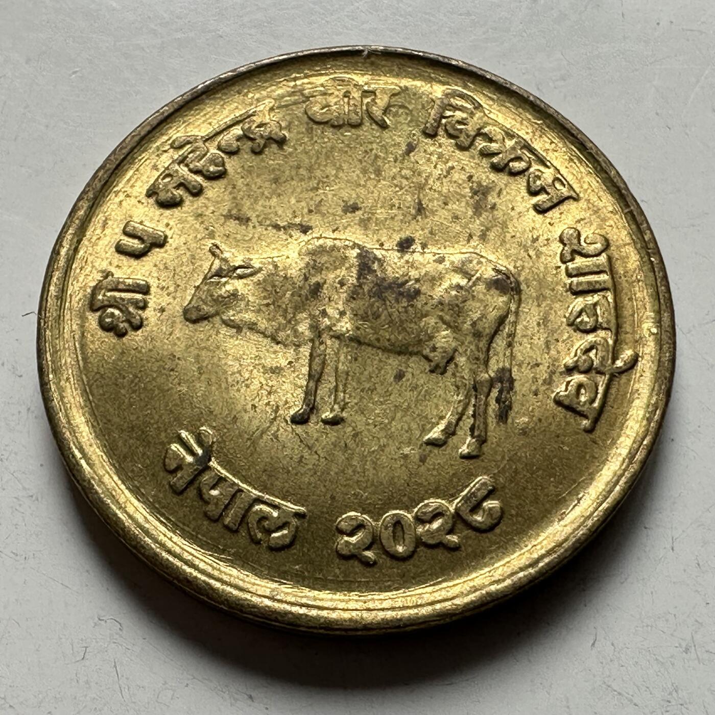 🌹外币初藏🌹🐯2026年第28场   每周二四六晚8️⃣点 接代拍 尼泊尔 1971年10派沙FAO纪念币