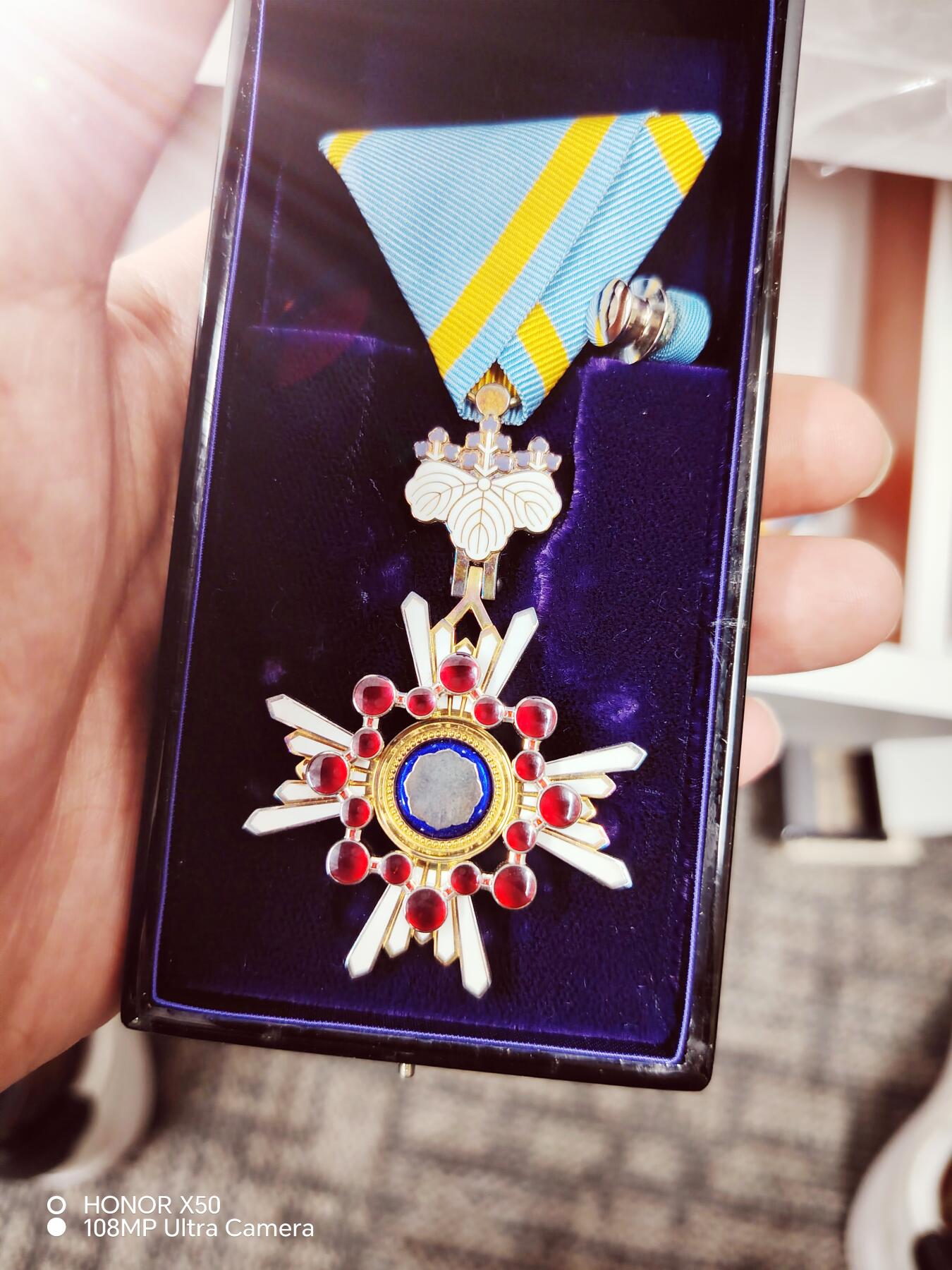 城南花开🌷88场