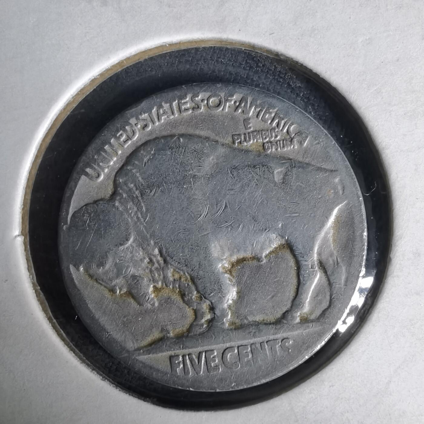 沼泽如烟--第1019场 美国野牛五分