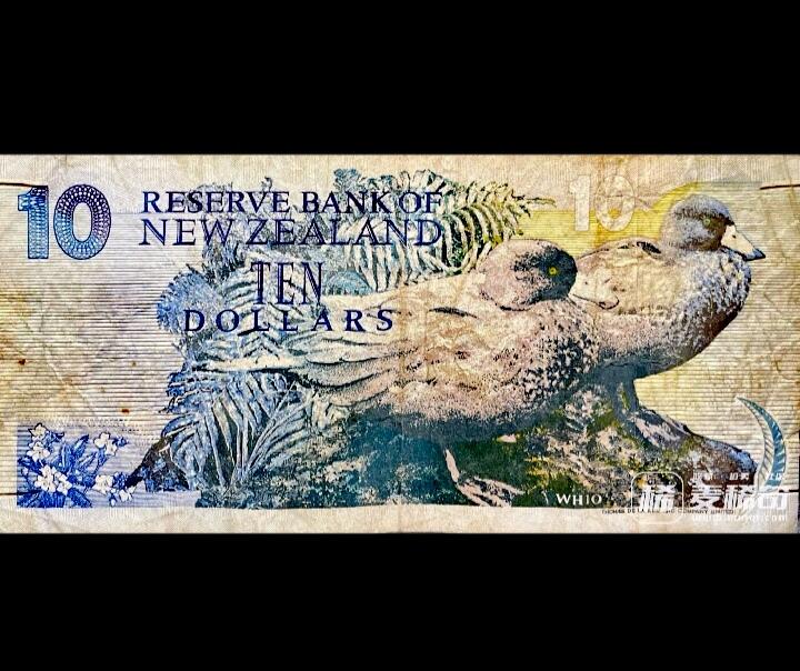新西兰1992年10元美品纸币
