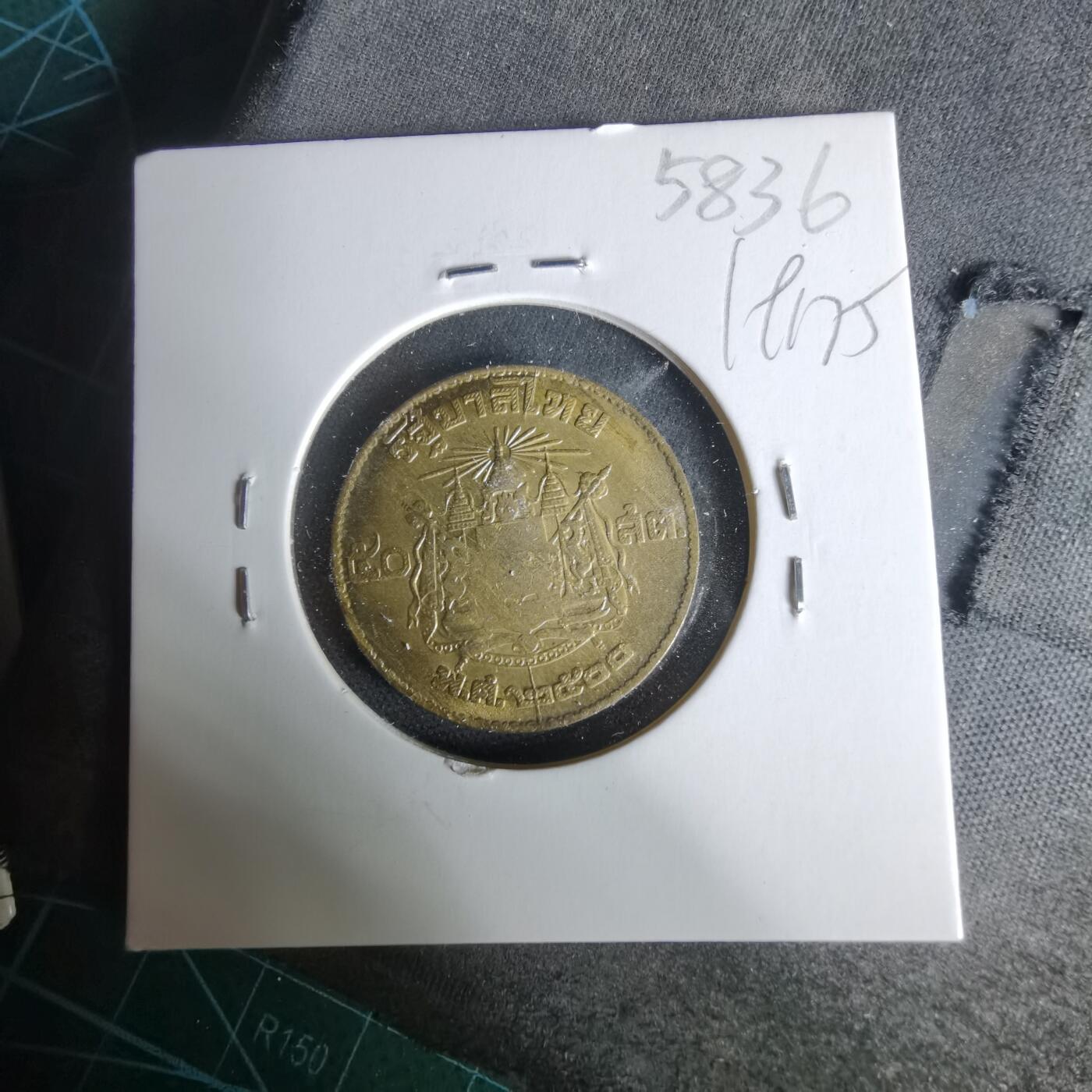 沼泽如烟--第1019场 泰国