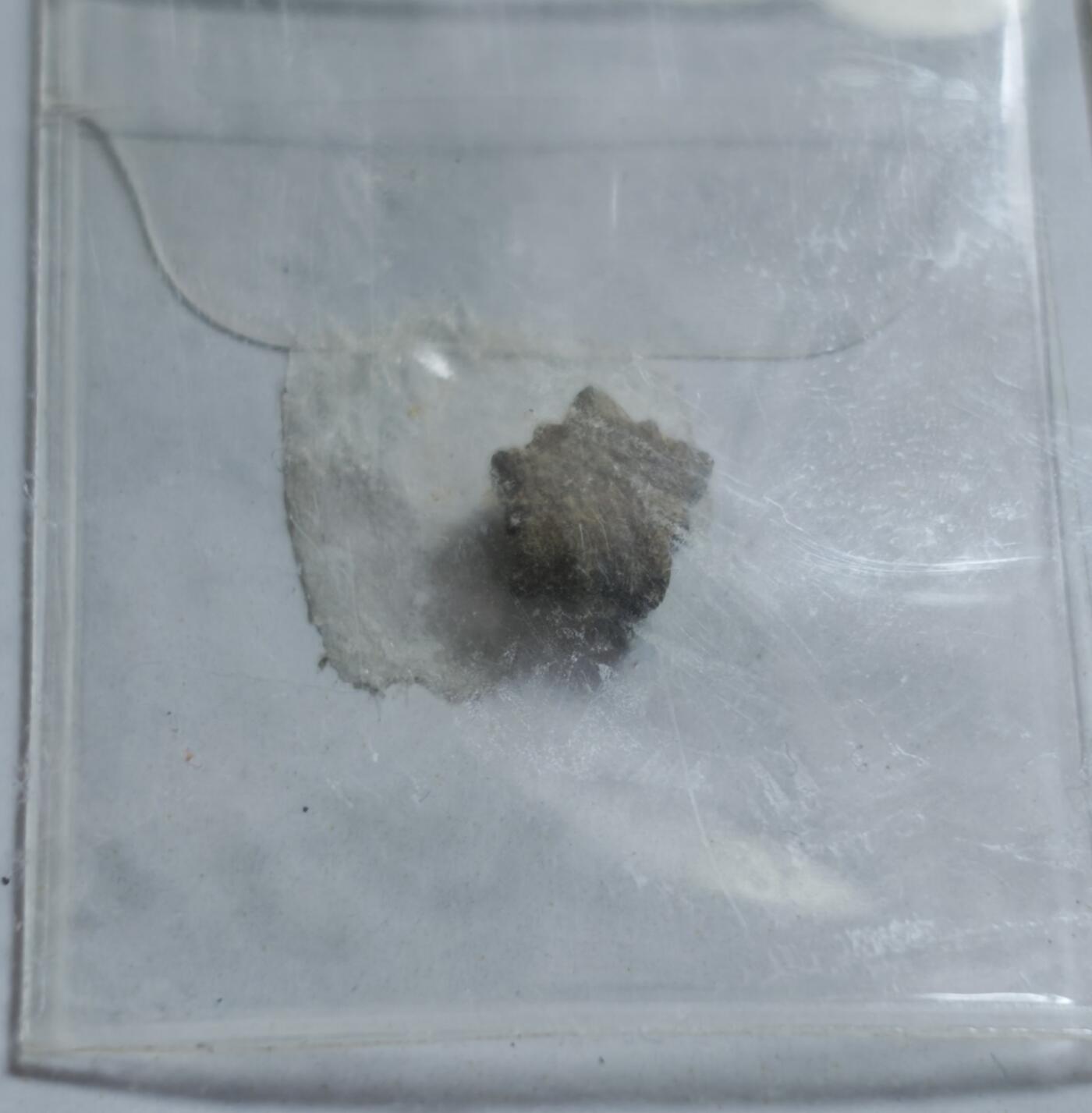 瓶子🏺第232期拍卖会  室利佛逝王国狮子头钱币 公元7至11世纪 斯里维贾亚王国曾使用的钱币，一个以 Jambi和巨港为中心的海洋王国，这些硬币表明斯里维亚拥有结构化的经济体系，并与东南亚各个地区甚至与中国和印度进行积极的贸易 这种斯里维贾亚硬币的尺寸较小，呈星形。圆形或带锯齿状。这枚钱币展现了印度文化在艺术上的强大影响力。斯里维亚的贸易和灵性。斯里维亚王国与印度的王国有着密切的关系，并可能从那里采用图象学