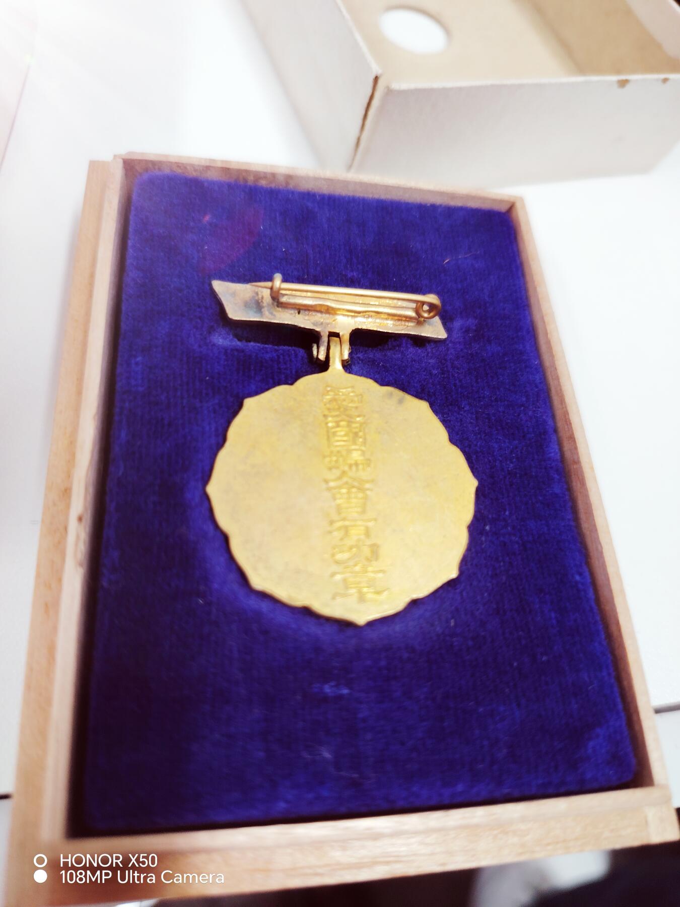 城南花开🌷88场