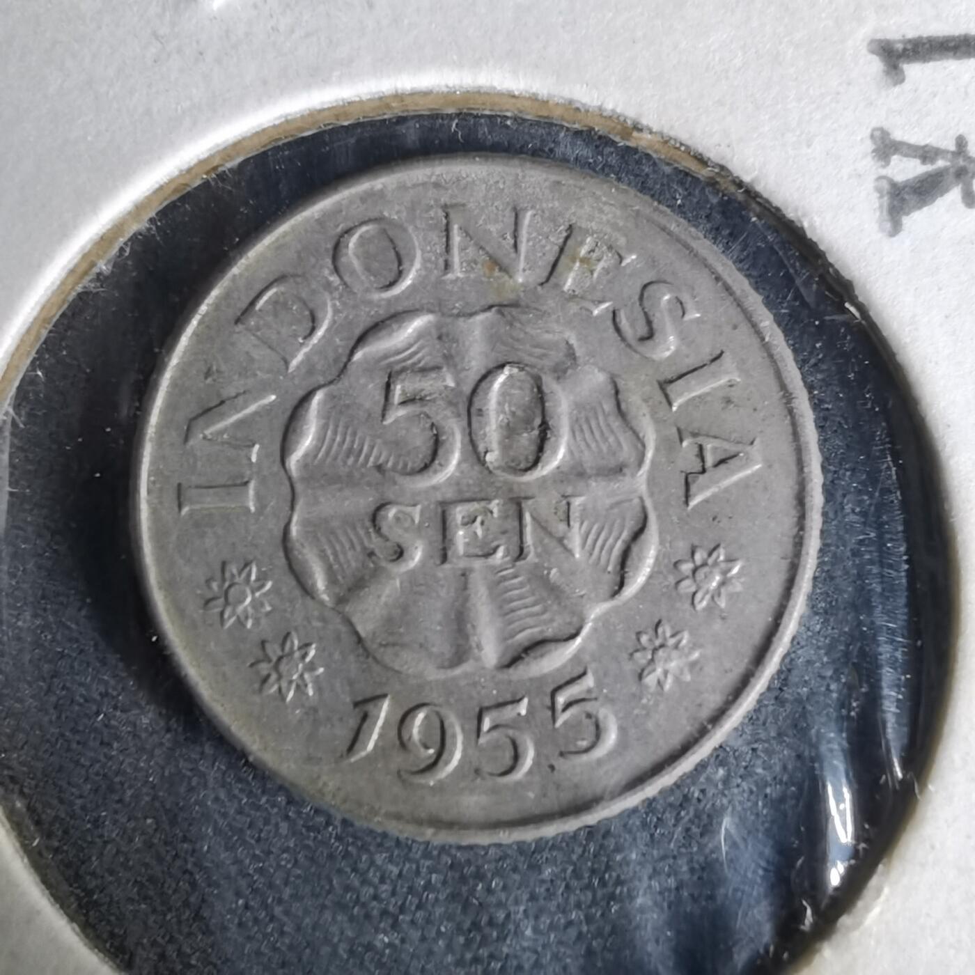 沼泽如烟--第1019场 印度尼西亚1955年50分