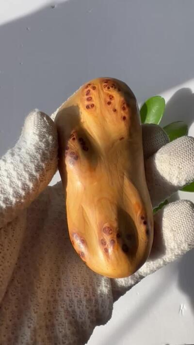 零元拍：崖柏瘤花随型手把件，十多年前的存货了，陈化的非常好，香味扑鼻，油性极大。