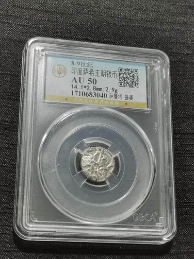 天下钱庄专场欢迎参拍 - 萨希王朝银币