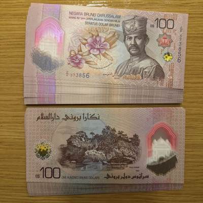 新版文莱塑料钞$1-$10、$100、$500现货包邮（周末发货） - 文莱100面值171926