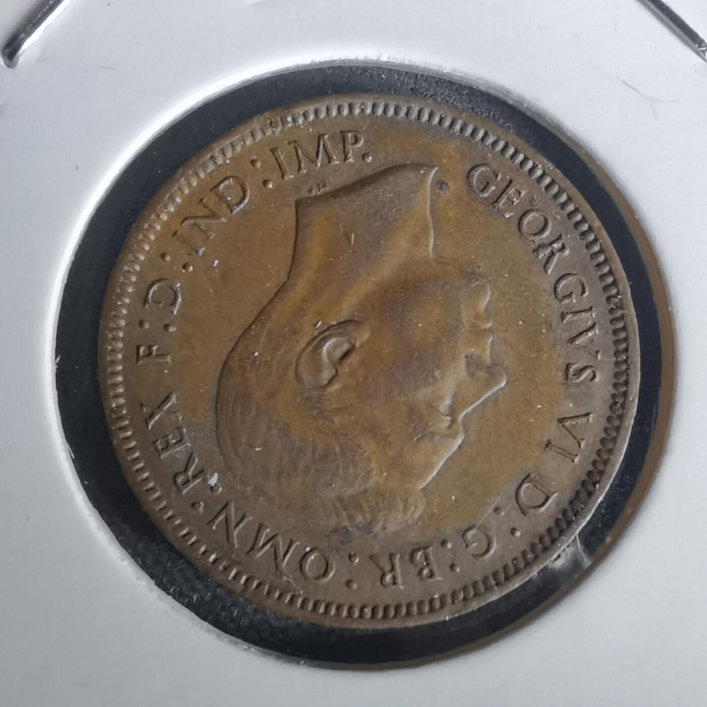 沼泽如烟--第1020场