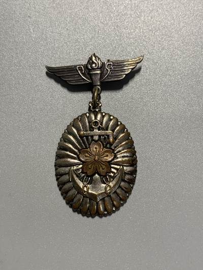 远东徽章小铺3月15日周日晚上9点结束 - 海军特别大演习