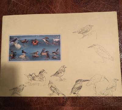 绝版珍藏 1991年台湾溪流鸟类邮票精装册 大版票+全彩图文解说 九五品 - 绝版珍藏 1991年台湾溪流鸟类邮票精装册 大版票+全彩图文解说 九五品