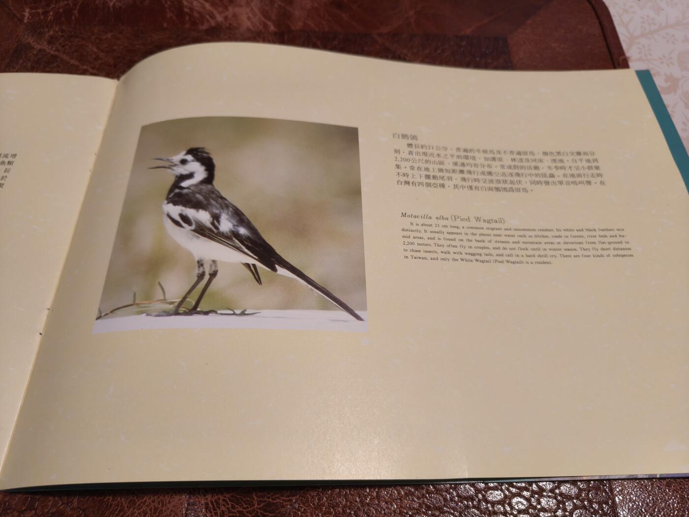 绝版珍藏 1991年台湾溪流鸟类邮票精装册 大版票+全彩图文解说 九五品