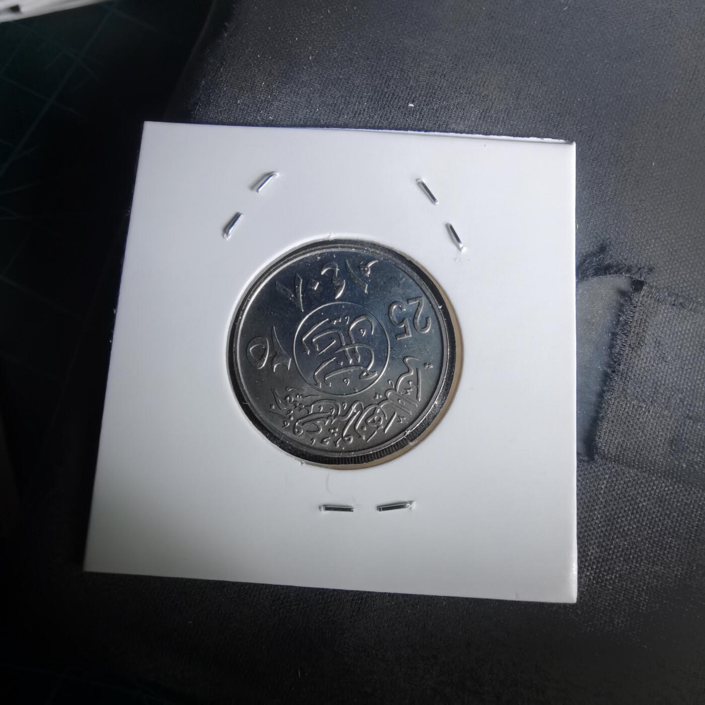 沼泽如烟--第1020场 沙特