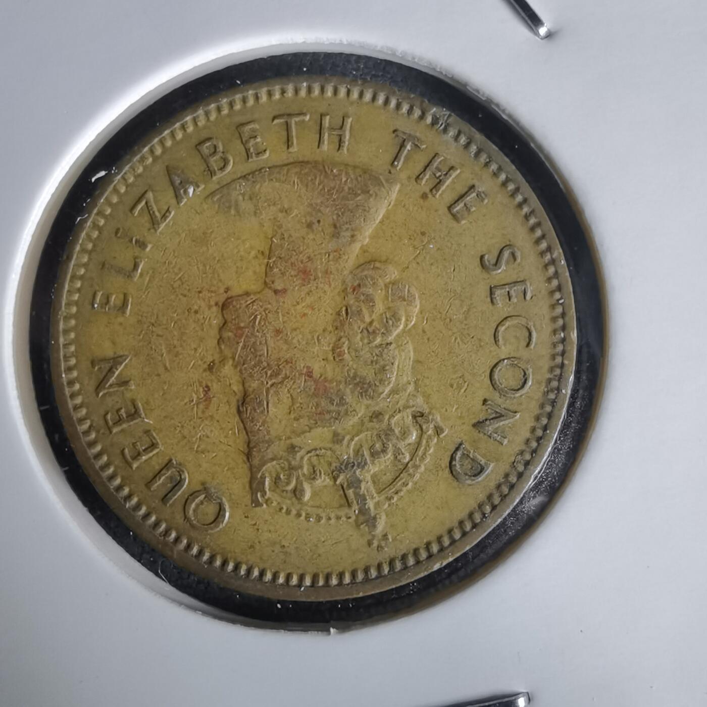 沼泽如烟--第1020场