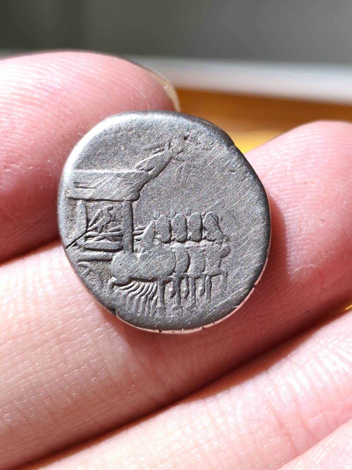 星盘世界钱币拍卖