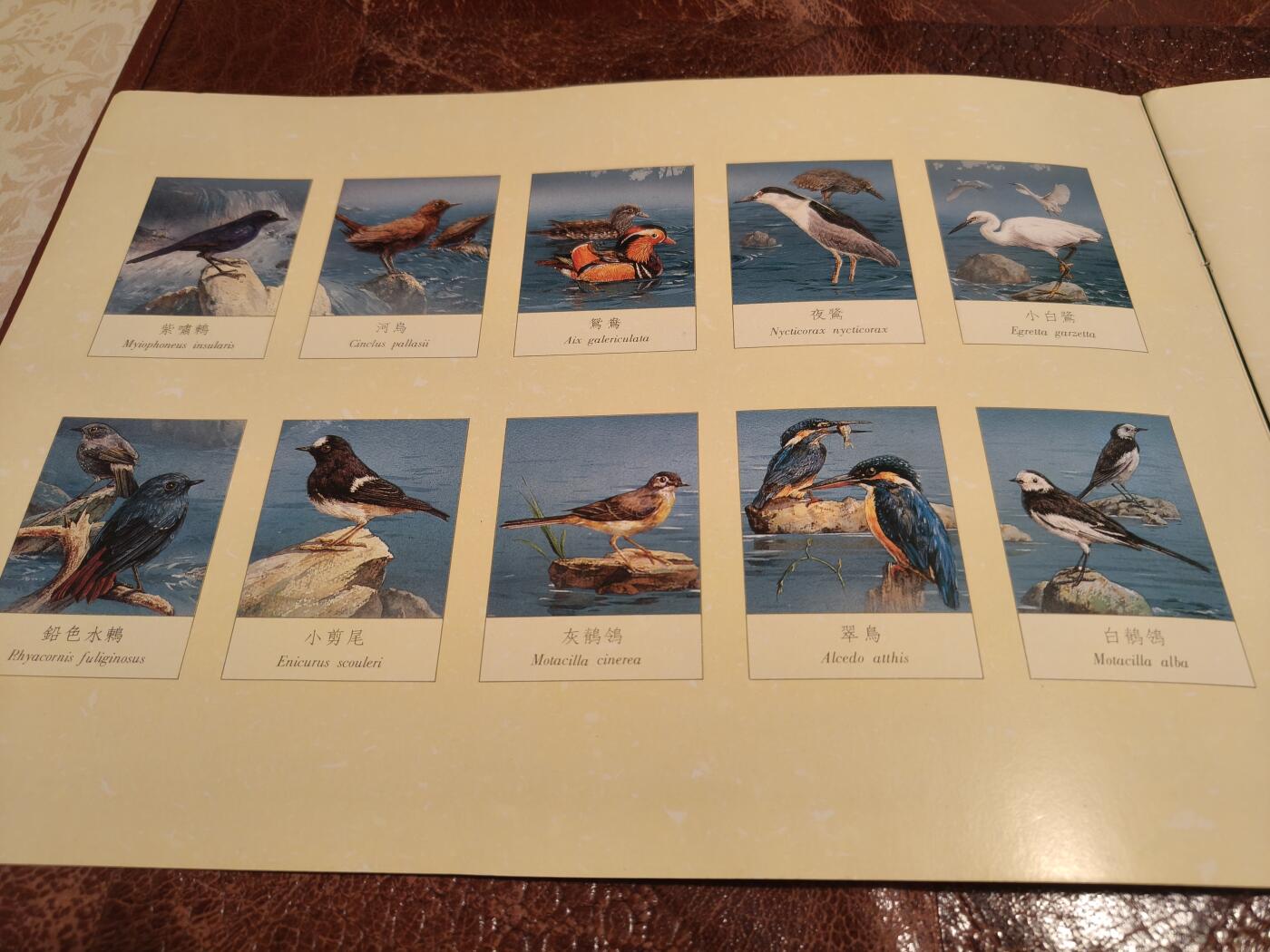 绝版珍藏 1991年台湾溪流鸟类邮票精装册 大版票+全彩图文解说 九五品