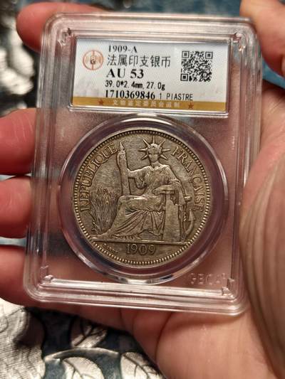 抚柳草堂-第十六期章牌钱币  奖章勋章限时免佣 满百包邮 放漏专场 - 1909法属印支坐洋银币  老包浆味道不错 公博评级au53