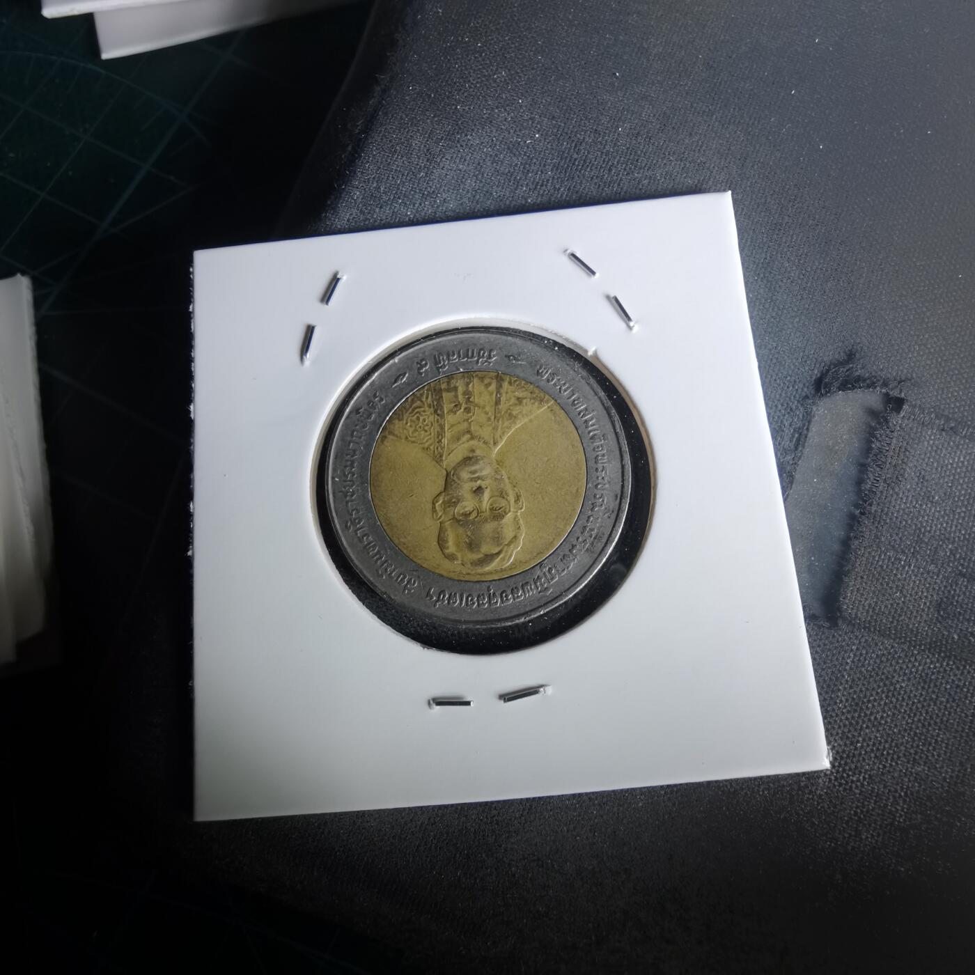 沼泽如烟--第1020场 泰国