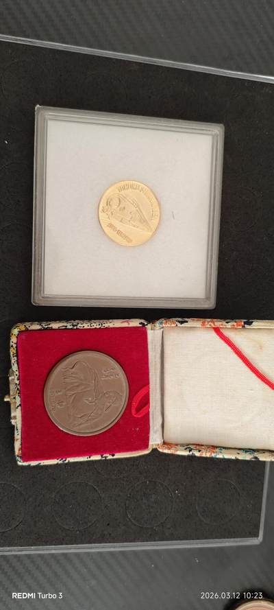 王勃铜章92年的，另一个是国外带回的 - 王勃铜章92年的，另一个是国外带回的