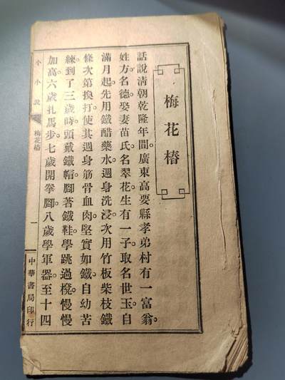 PCAI钱币  14-776  邮票钱币证章小专场 - 14页完整  梅花椿