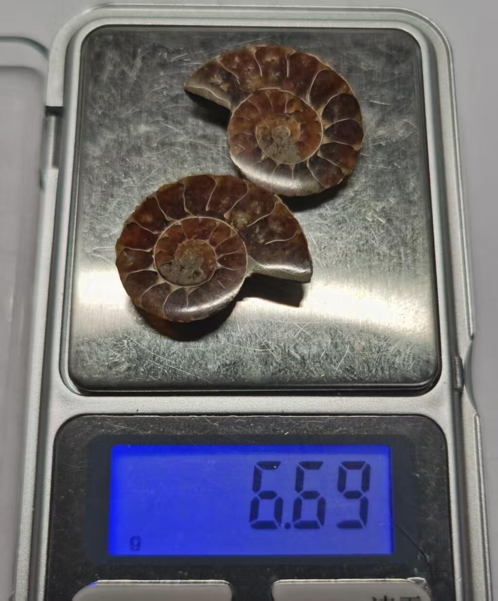 七河·世界币章水晶矿标化石杂件小拍（总第42期）（周一结标） 藏家出品X786（5）漂亮光泽！马达加斯加中生代菊石化石对开品   本件拍品由合作藏家负责邮寄