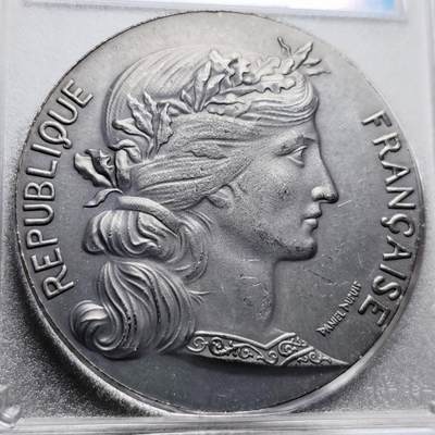 泉币菌-第208场-拍品多 请提前出价 -  日本回流 法系名章 青铜币 纪念法国联盟·大仲马家族 44×3mm 35.9g 工艺个人看着不是很舒服 自定义