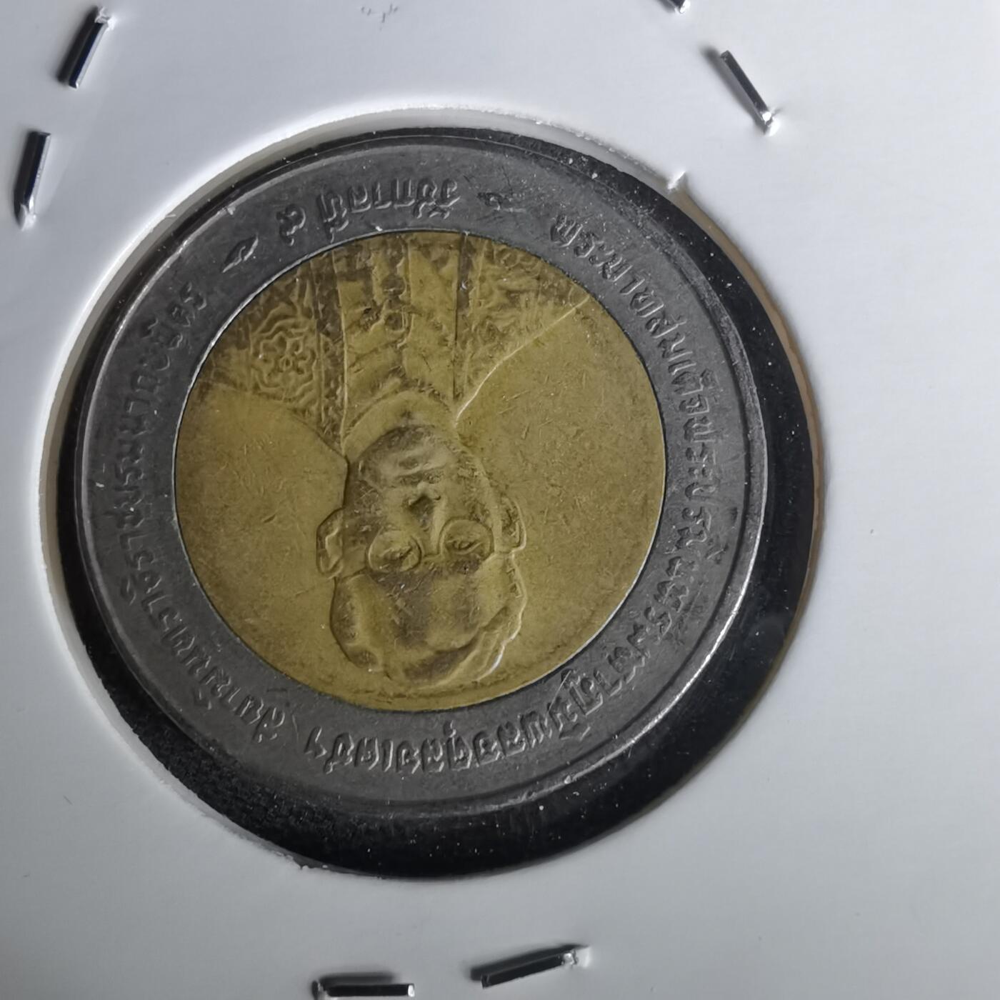 沼泽如烟--第1020场 泰国