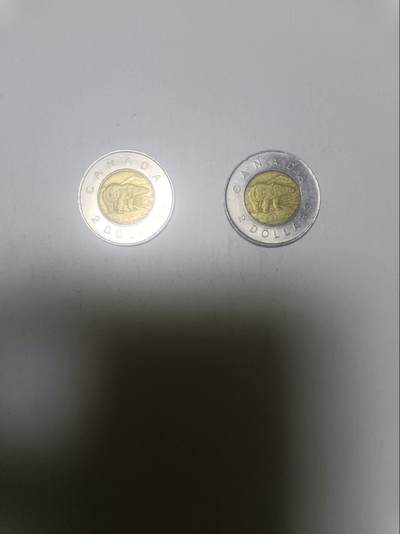【20260315】非全新纸币和硬币第345场 - 加拿大2加元2枚硬币，汇率价约为20元