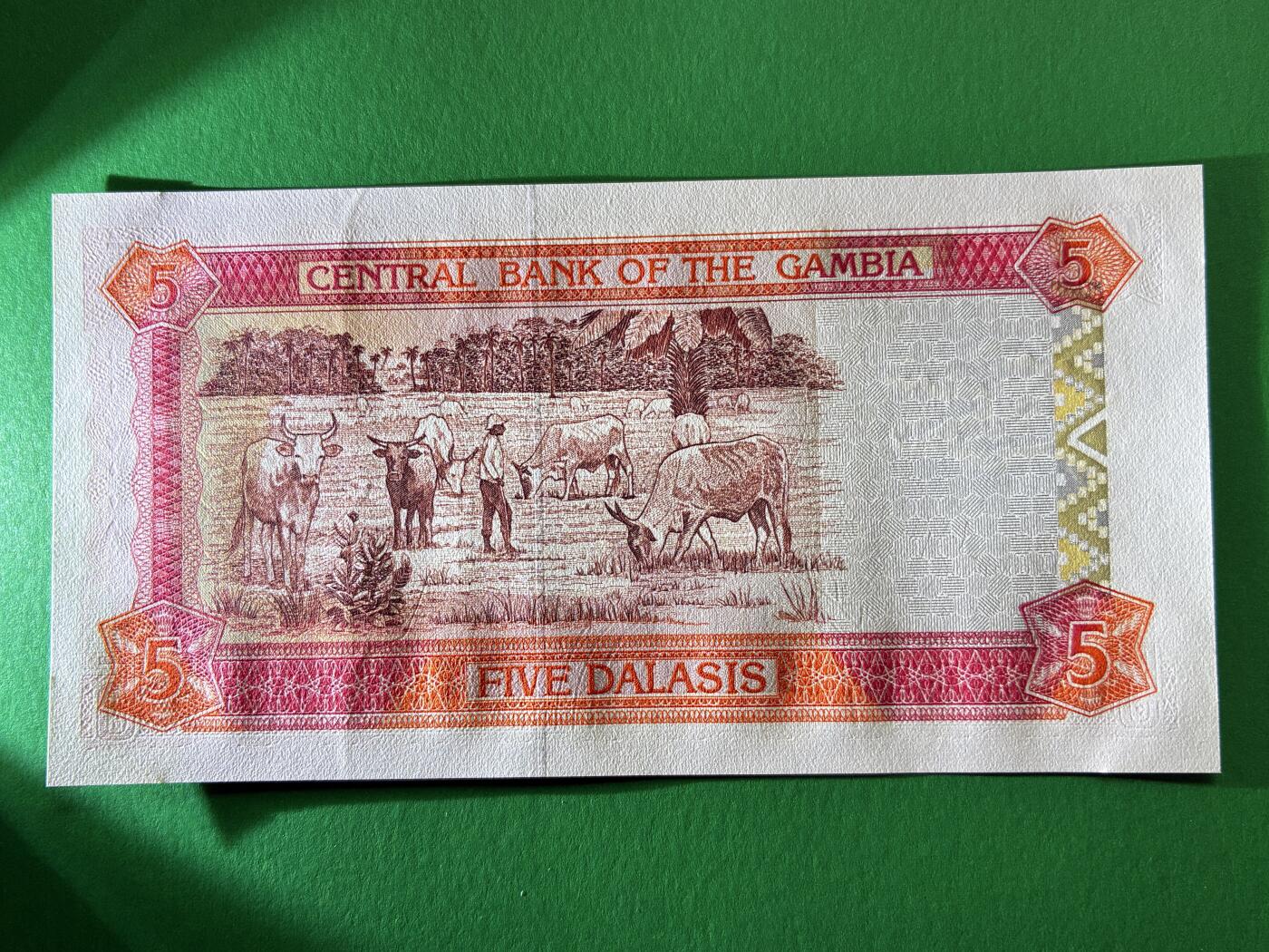 咖啡豆•收藏 2026年Mar_19th世界各国纸币拍卖 冈比亚 1996年 5达拉西 A冠 全新UNC 外国 非洲纸币