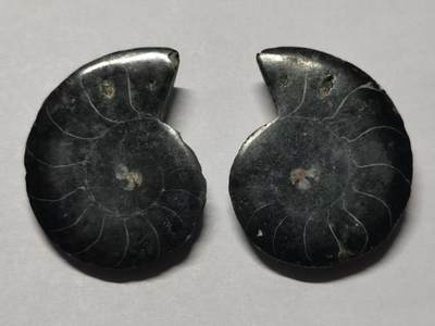 七河·世界币章水晶矿标化石杂件小拍（总第42期）（周一结标） - 藏家出品X782（5）马达加斯加中生代菊石化石对开品 本件拍品由合作藏家负责邮寄