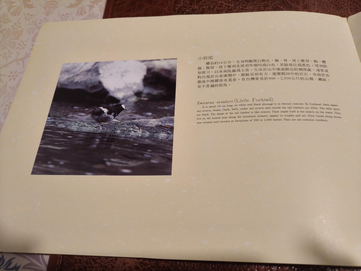 绝版珍藏 1991年台湾溪流鸟类邮票精装册 大版票+全彩图文解说 九五品