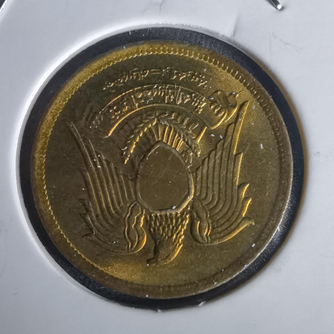 沼泽如烟--第1020场